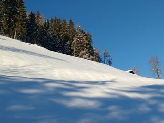 Ausblick Winter