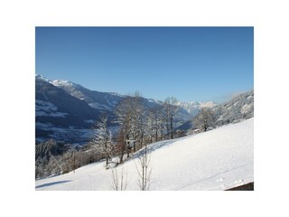 IMG_1003