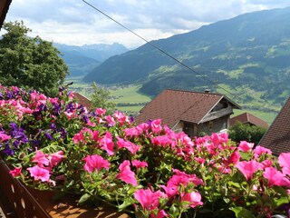 IMG_0197