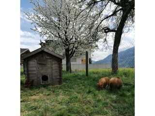 FB_IMG_1621881429985 (1)