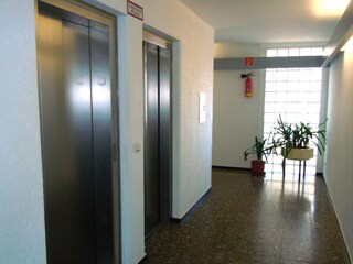 Appartamento per vacanze Borkum Ambiente 17