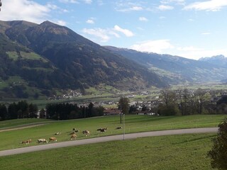 Blick ins hintere Zillertal
