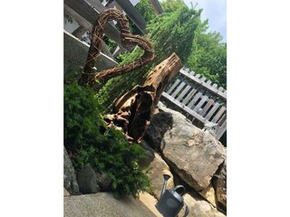 mobil - 25.01.2021 3761