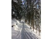 IMG_2603