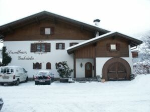 Apartment Landhaus Gabriela - Stumm - image1