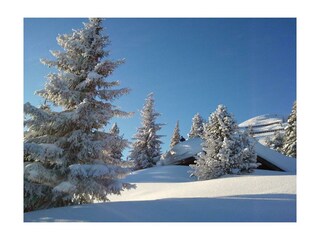 Winterlandschaft