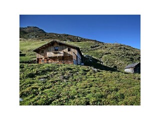 Alm Hochzillertal