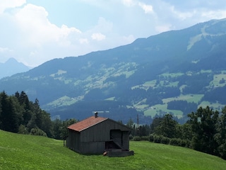 20190726_134422_resized