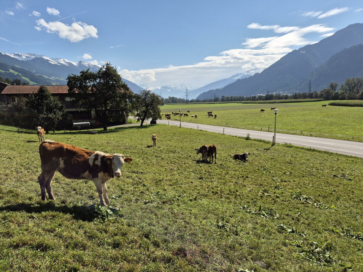 Sommer-Panorama