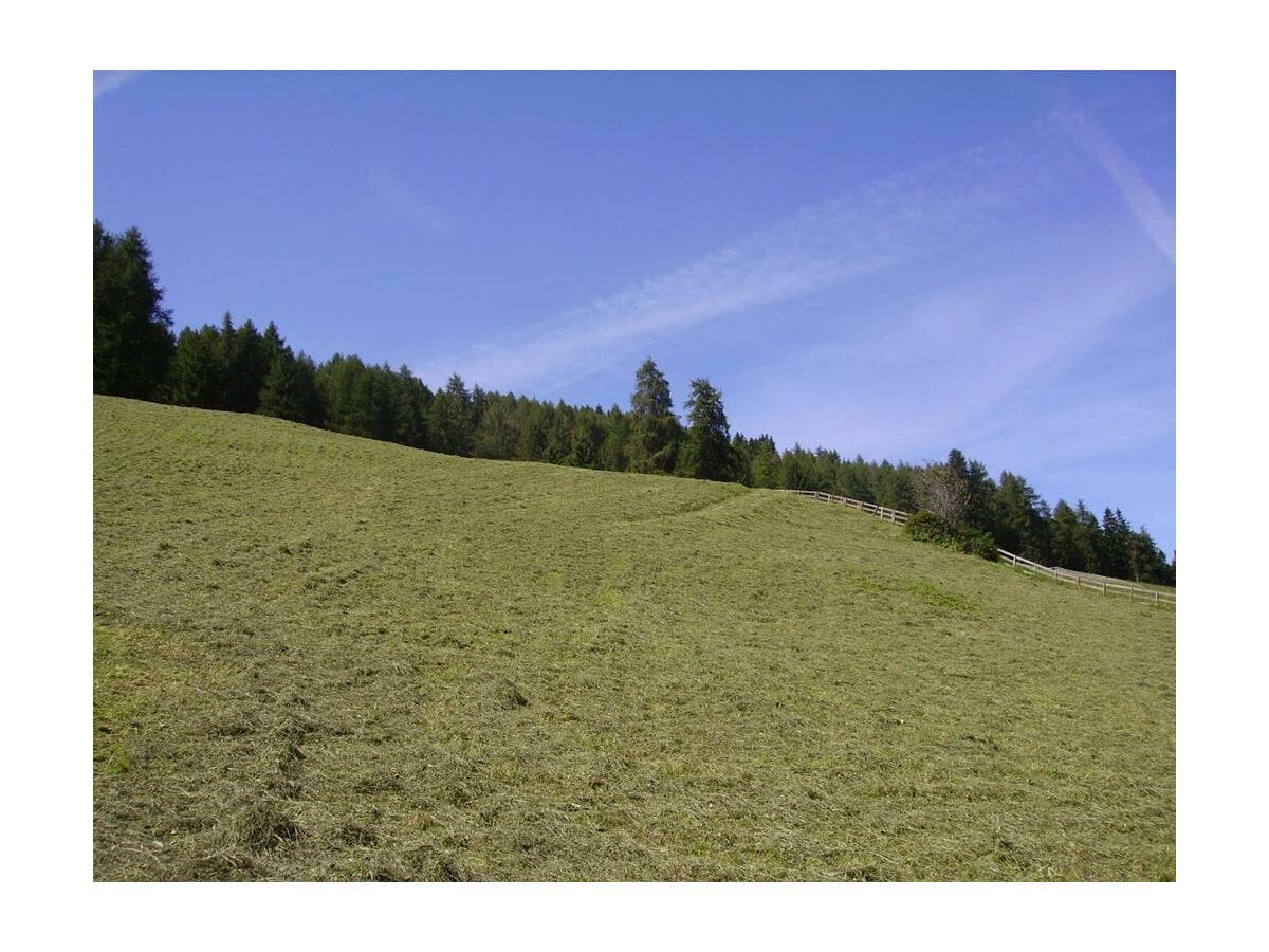 Sommer in Bruck am Ziller