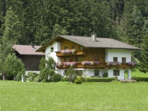 Apartment Lippnerhof - Aschau im Zillertal - image1