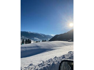Ausblick