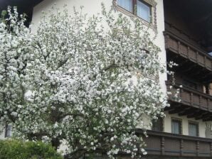 Apartment Gästehaus Braunegger - Stumm - image1