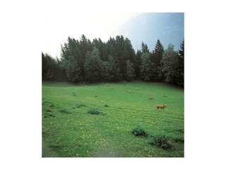 Wildgehege