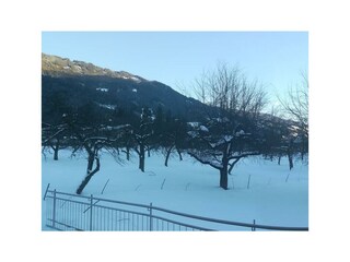 IMG_20190131_161513