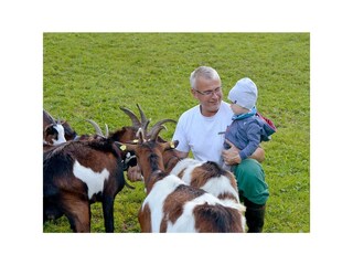 Tiere am Bauernhof4