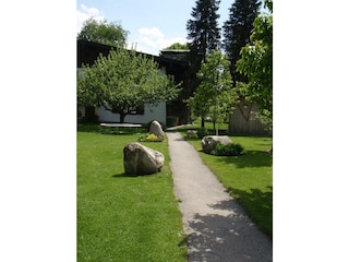 Mein Garten 2009 001