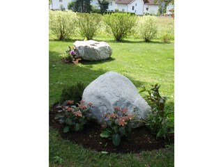 Mein Garten 2009 015