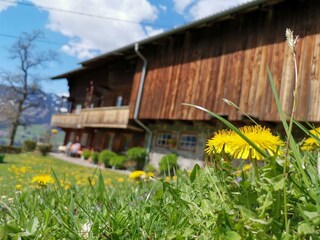 apart_ponholz_zillertal_frühling_