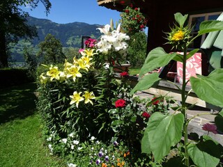 Blumenpracht_Apart_Ponholz_Zillertal_Herbst_Hart_i