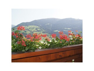 Aussicht
