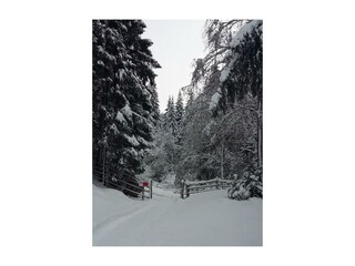 Winterspaziergang im u. Bach