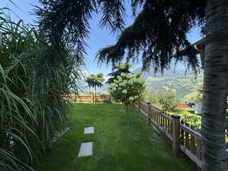 IMG_9038