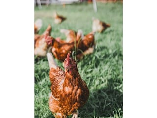 24d28952-3538-41e8-bb64-83d8323203a6