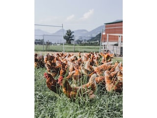 676c0754-1143-410e-9a33-ae08bbdc35cd