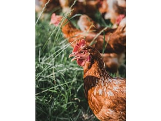 31699369-46d7-4c2b-9e89-193e372a5e81