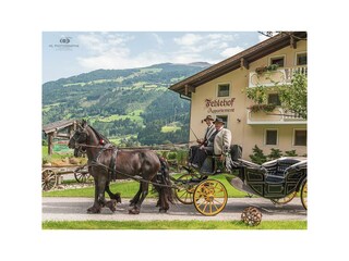 IMG-20170826-WA0000