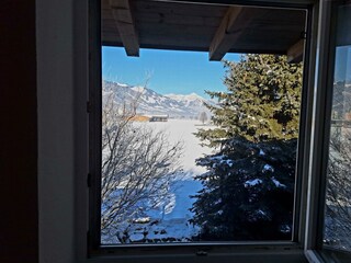 Fensterblick