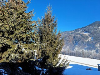 Fensterblick