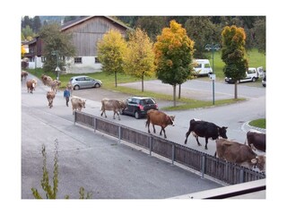 Balkon Ausblick Herbst