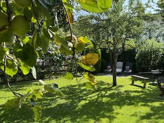 Garten mit Grillplatz und Sonnenliegen