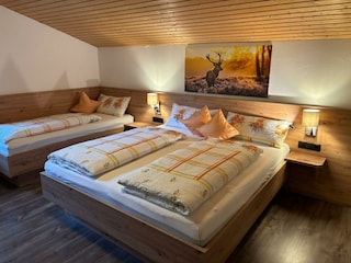 Bilder Sonnenblume3
