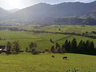 Ausblick