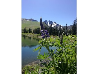 IMG-20200614-WA0012
