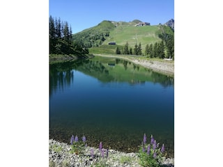 Spieljoch