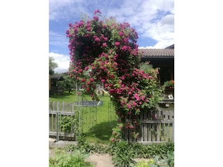 IMG-20200618-WA0009