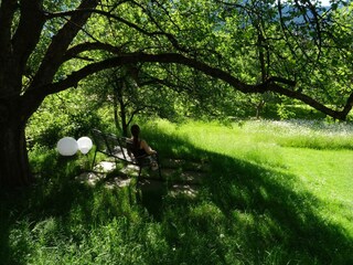 DSCF0816_kleiner