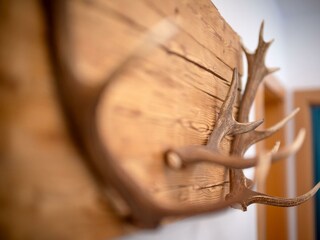 Apart_Hartl_Landstrasse_7_Ried_Apart_Jonas_Detail