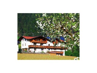 Haus im Frühling