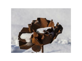 Der Garten im Winter