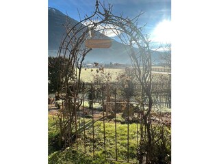 Appartements Pfister_Fuegen_Traumgarten