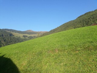 Blick Wiedersberger Horn