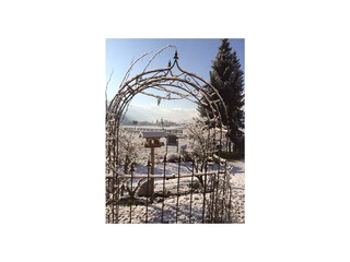 Unser Garten im Winter