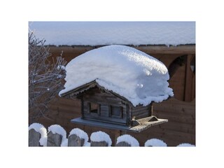 Der Garten im Winter