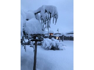 Appartements Pfister_Fuegen_Traumgarten_Winter