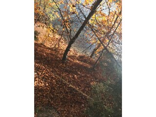 PHOTO-2019-12-03-20-18-18_4